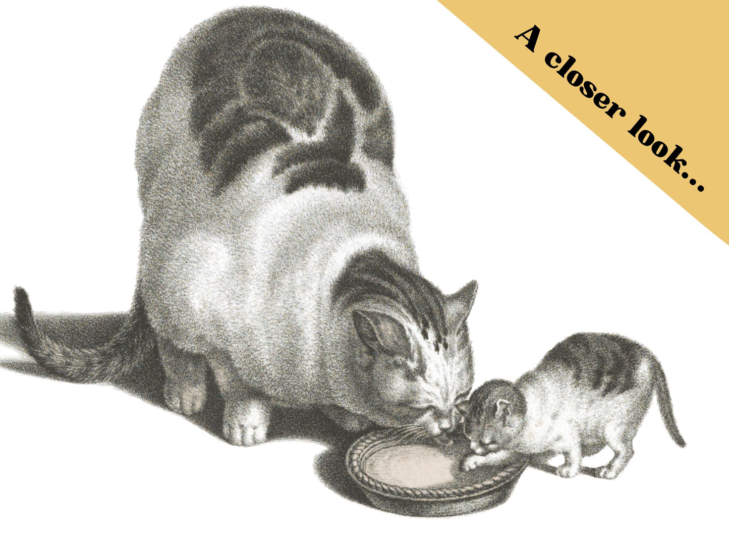 Vintage Tabby Cat Wall Art Print